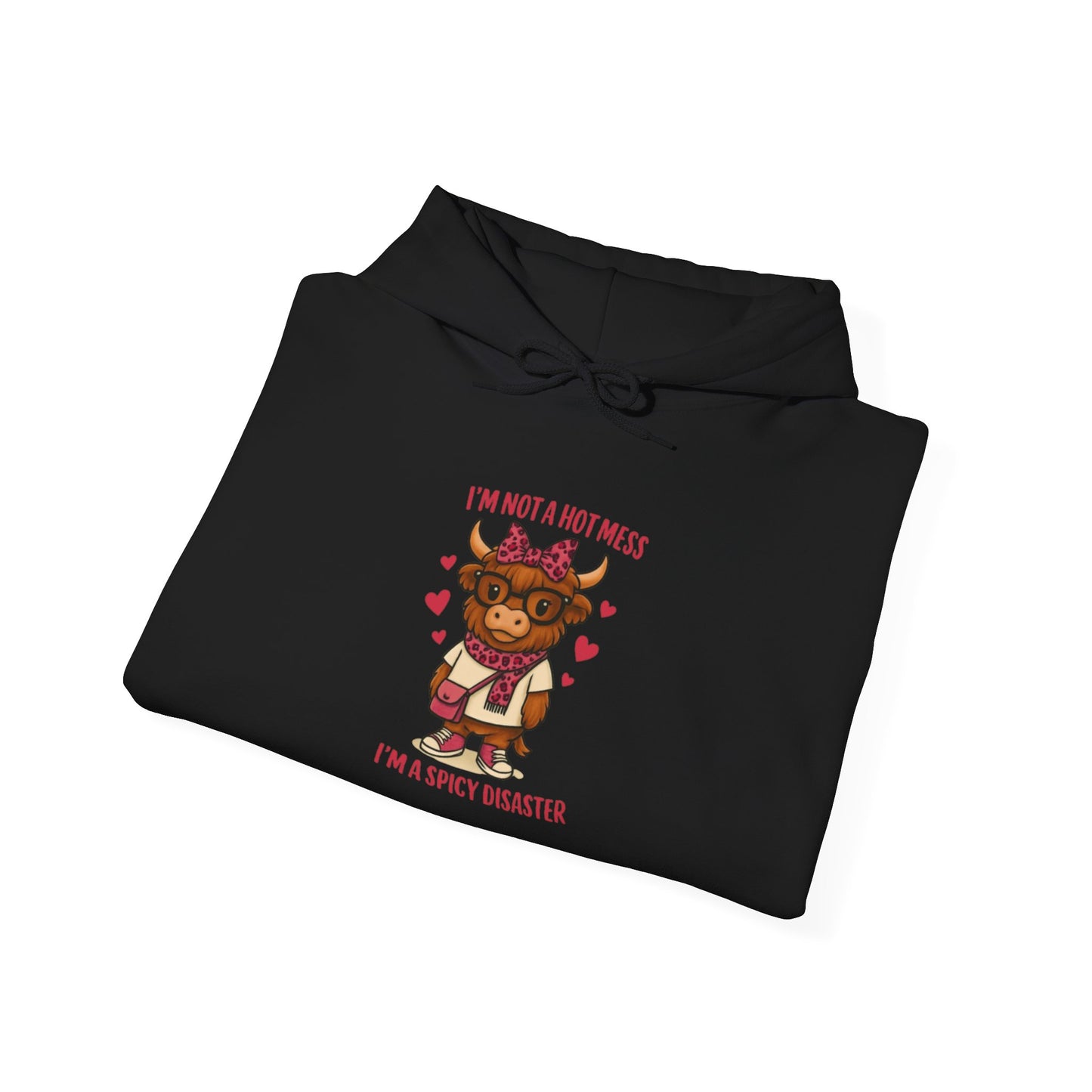 Spicy Disaster Hoodie — "I'm Not a HOT MESS I'm a SPICY DISASTER"