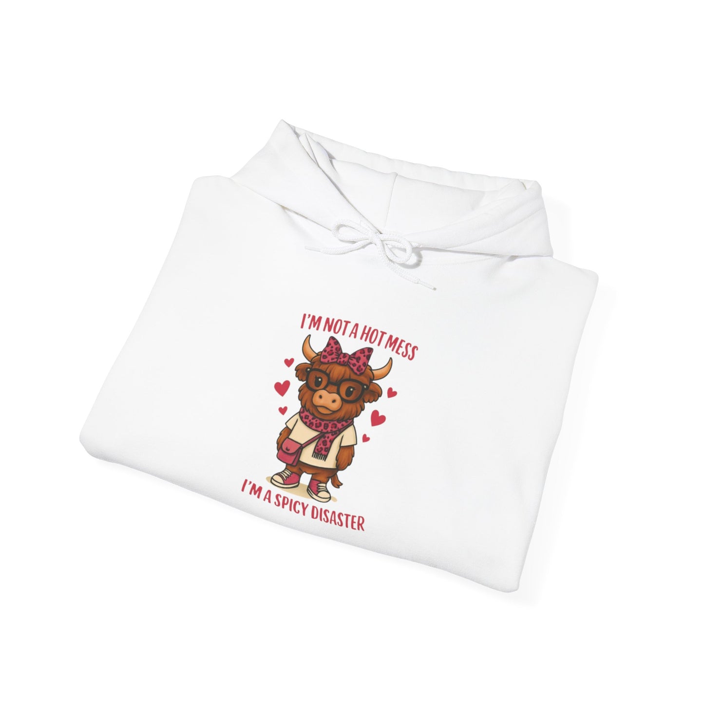 Spicy Disaster Hoodie — "I'm Not a HOT MESS I'm a SPICY DISASTER"