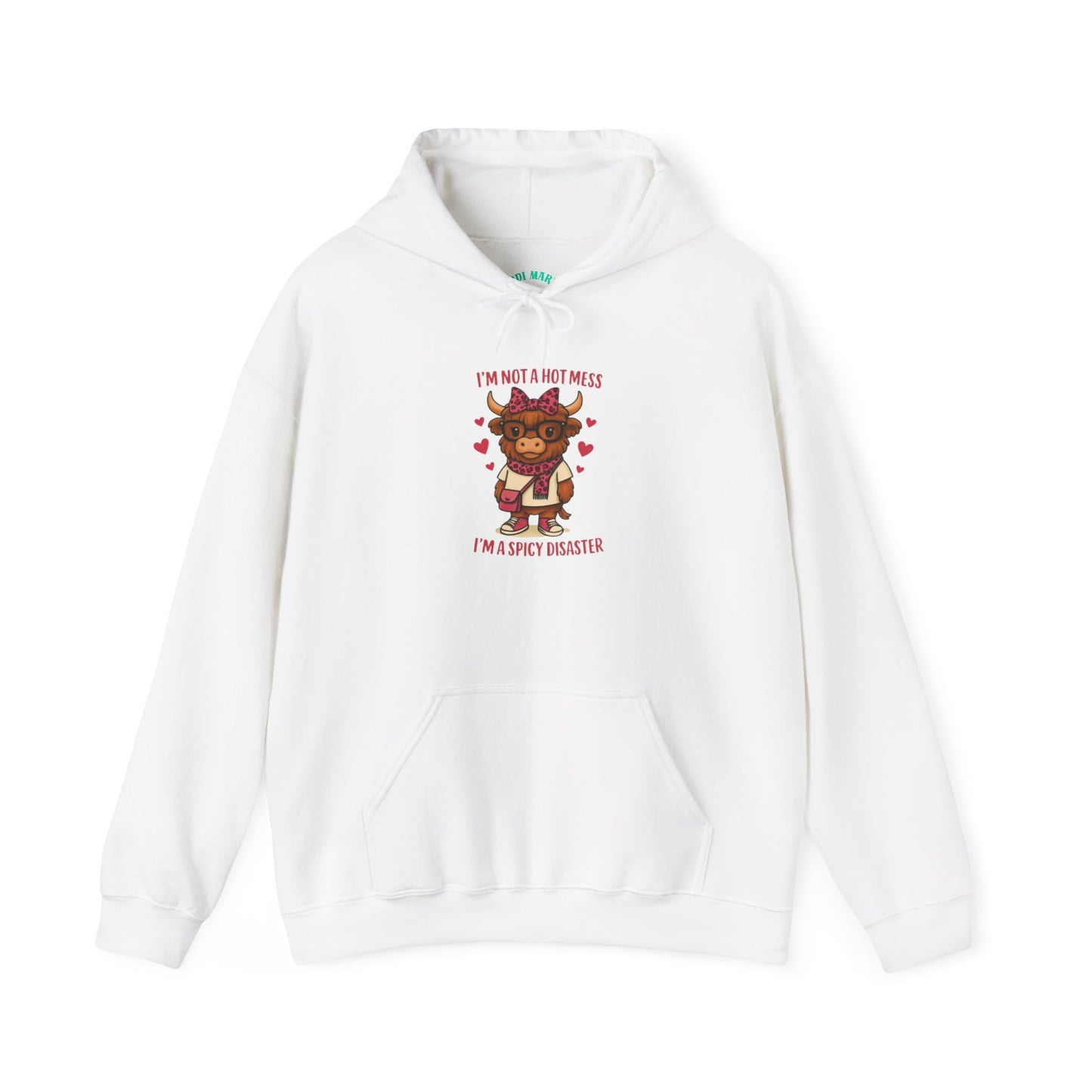 Spicy Disaster Hoodie — "I'm Not a HOT MESS I'm a SPICY DISASTER"